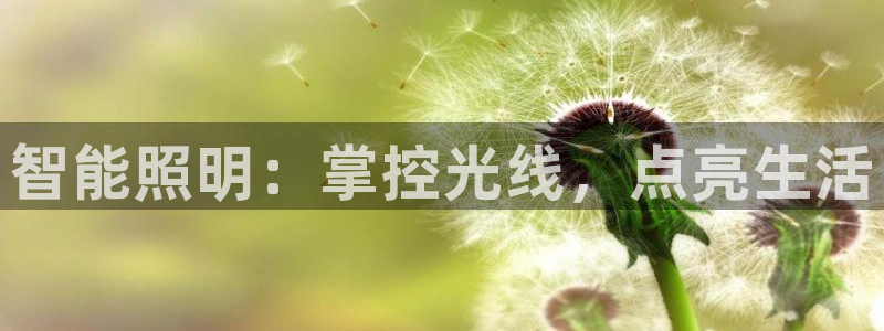 云顶国际服账号