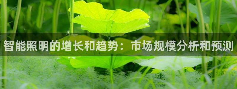 云顶国际百度百科下载