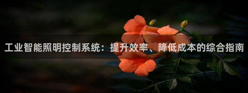 云顶国际停车费