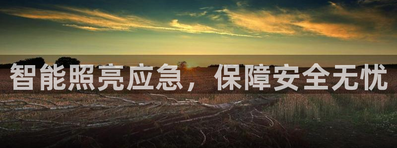云顶国际中学