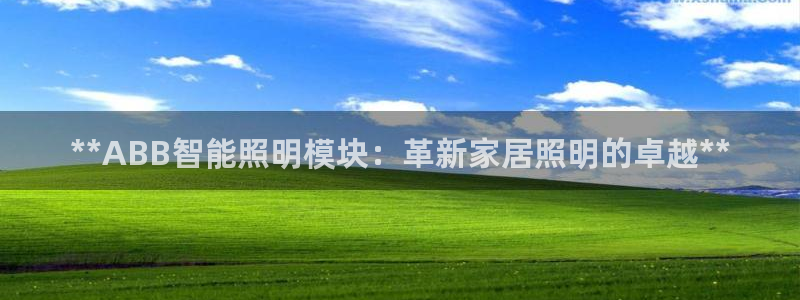 云顶集团王天才简介