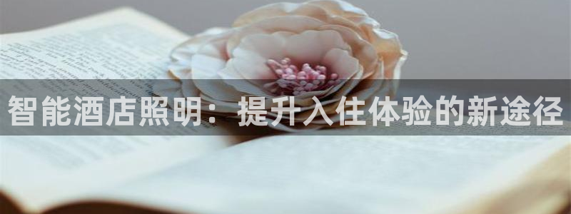 云顶国际