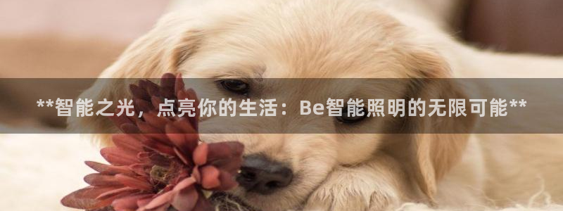 云顶集团 中国