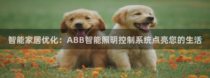 云顶集团简介概况