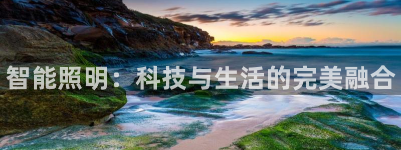云顶集团 中国排名第几