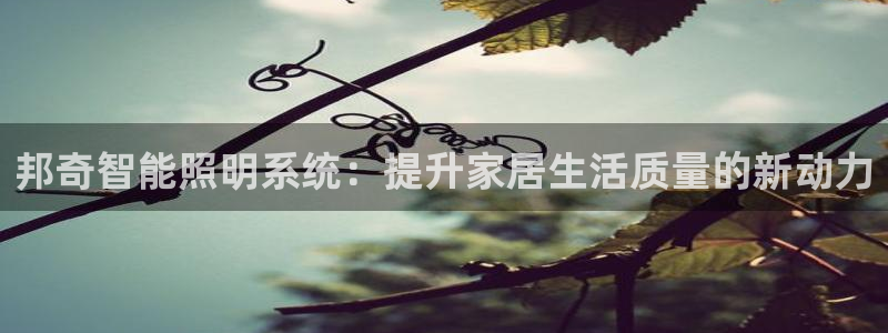 云顶国际平台游戏app