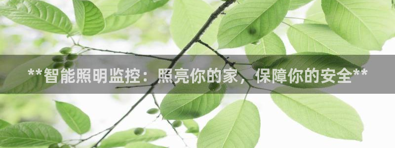云顶集团专属app