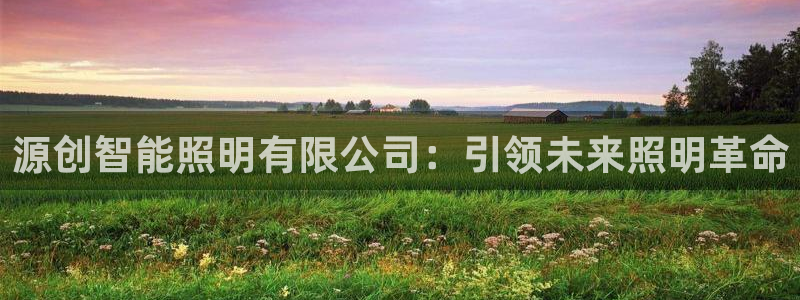云顶国际服叫什么