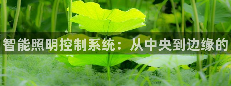 云顶国际nba今日推荐