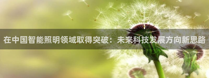 云顶国际投资有限公司招聘