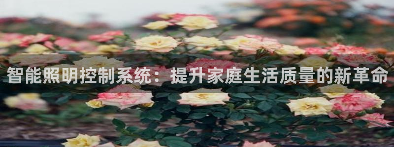 云顶国际网页版官网
