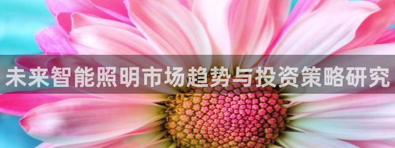 云顶集团中国分公司