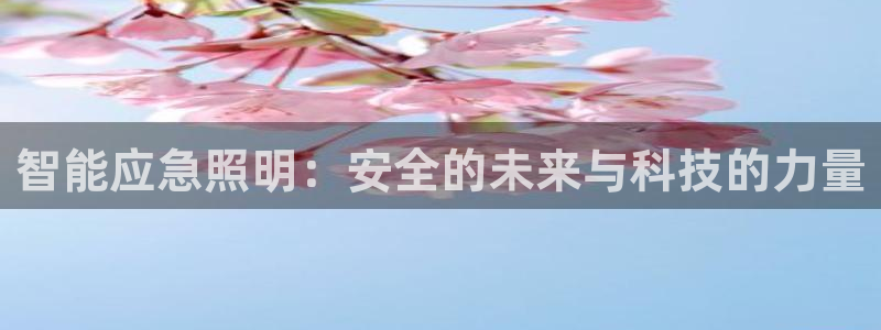 云顶国际体育官方网站下载