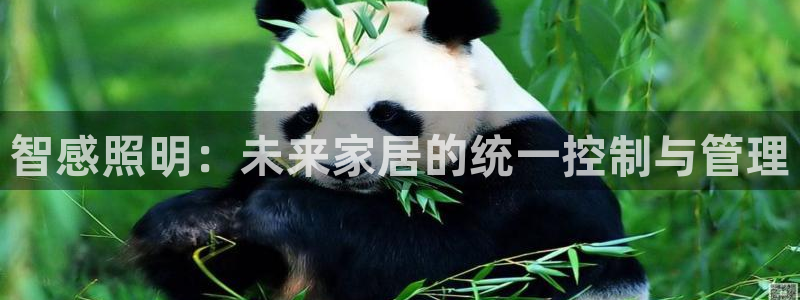 云顶国际app下载安装