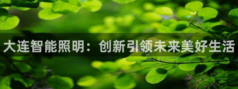 云顶集团有限公司简介概况：大连智能照明：