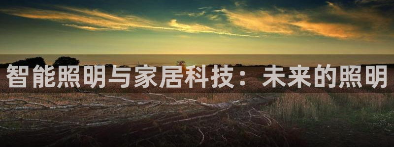 云顶国际大酒店是几星级