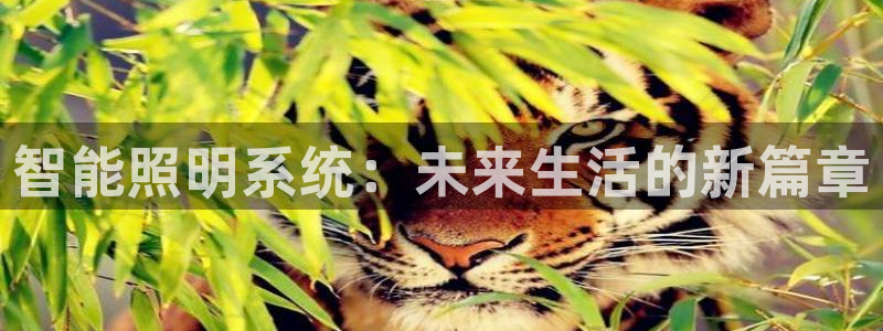 云顶国际宴会中心