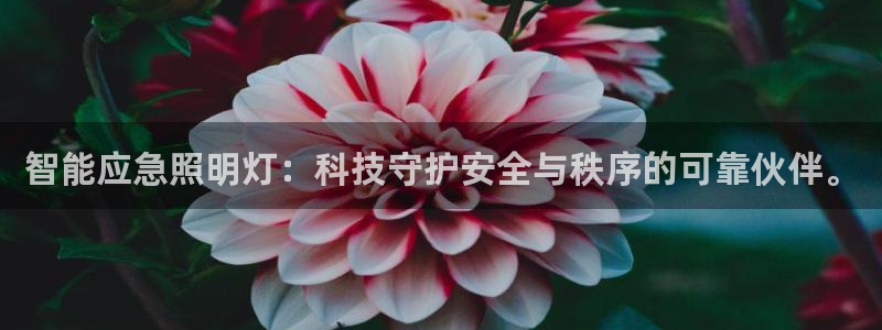 太原云顶国际酒店老板是谁