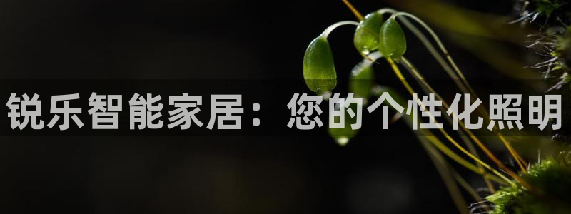 云顶国际大酒店房间价格表