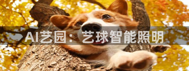 云顶集团大少爷是谁