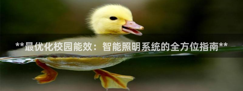 云顶国际nba今日推荐