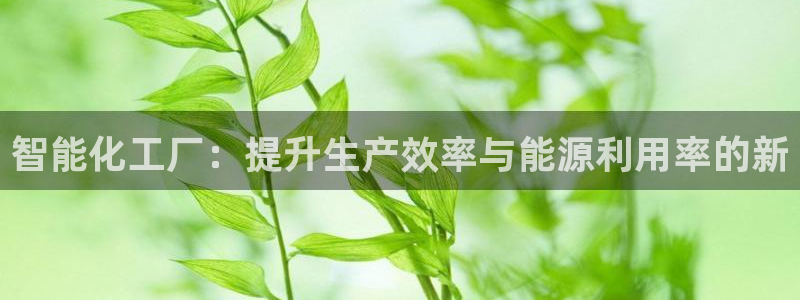 云顶国际软装公司怎么样啊