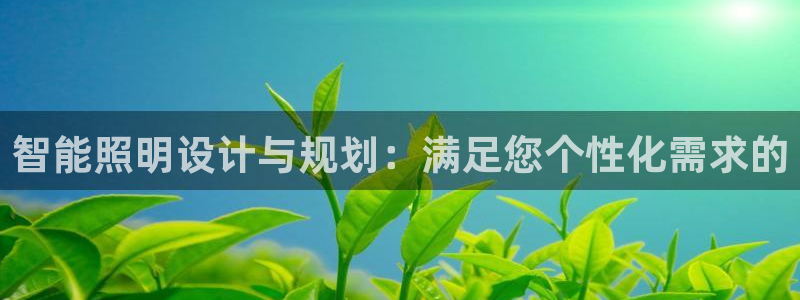 云顶国际物流官网