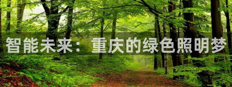 云顶控股集团有限公司