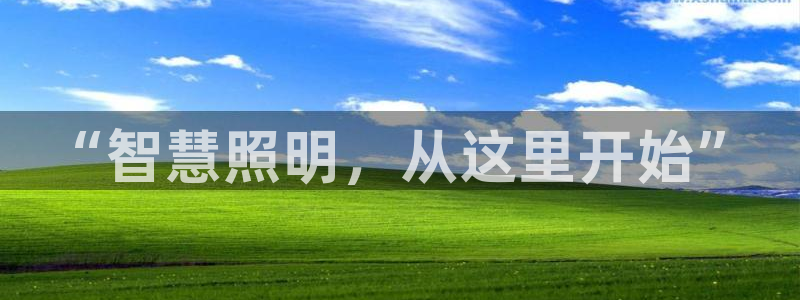 云顶国际游戏平台有哪些