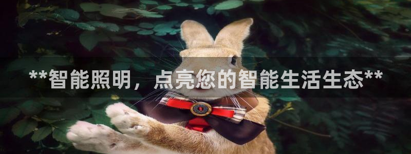 云顶国际装饰设计