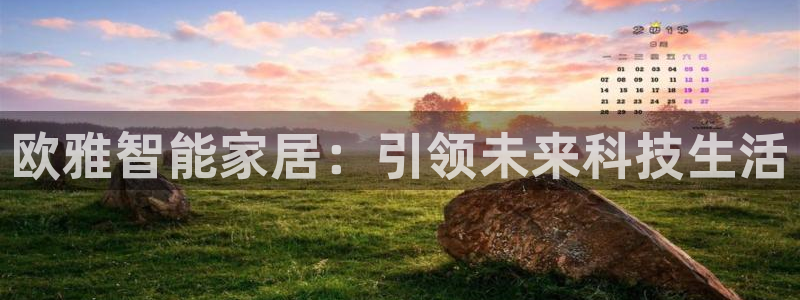 云顶国际服账号