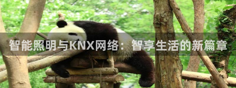 云顶国际大酒店位于