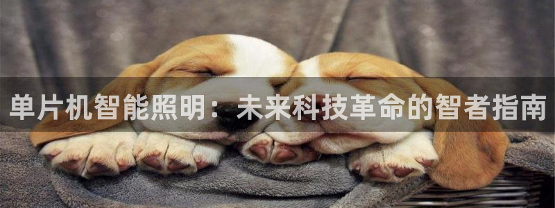 云顶国际公馆有取暖吗