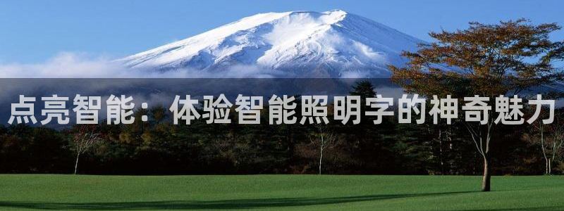 云顶电子游戏网站