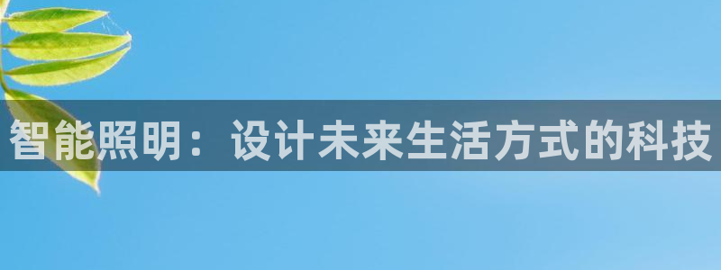 云顶手游国际版