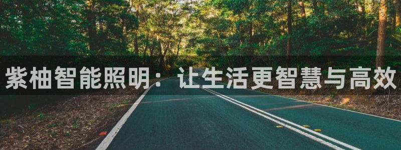 云顶集团有限公司简介概况