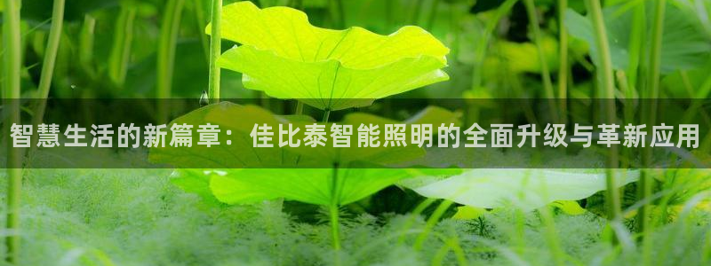 云顶国际二手房出售信息：智慧生活的新篇章